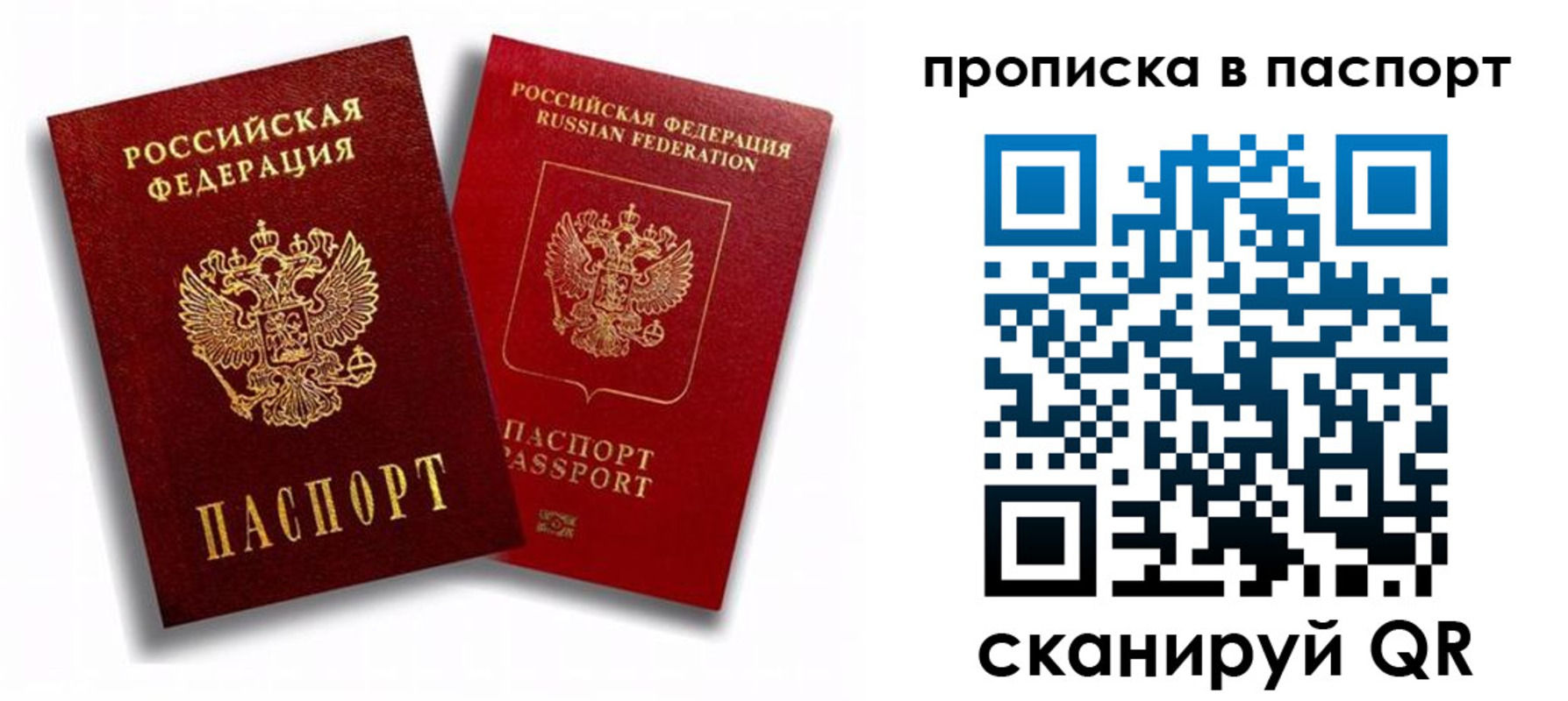 прописка поиск в Бийске