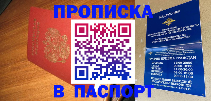 временная прописка в Бийске